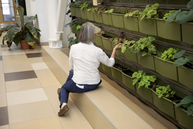 Universal Design Principal 6- Cheyenne Botanic Garden