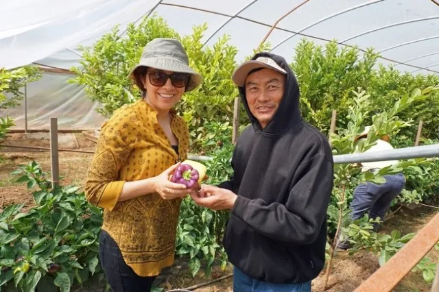 La l&iacute;der del proyecto de moringa de UCCE, Lorena Ramos y Vang Thao muestran un pimiento p&uacute;rpura.