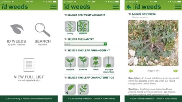 ID Weeds App