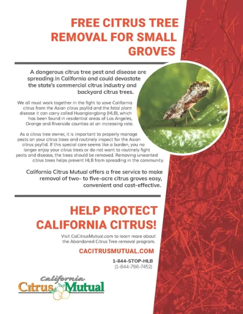 ACT Now Flier FINAL2