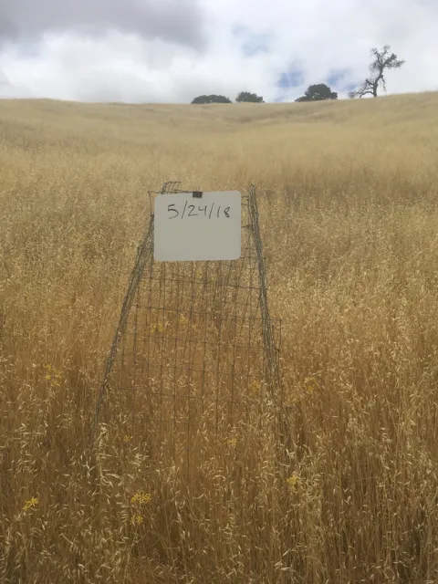 Monterey County Forage Production