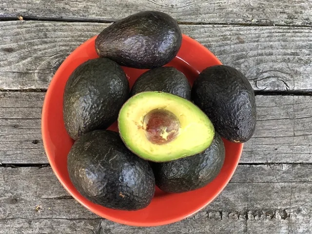 El aguacate, que con frecuencia se cree que es una verdura, es en realidad una fruta y tiene un alto contenido de potasio. (Fotografía por Kathy Keatley Garvey)