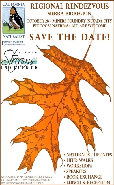 RR FLIER Save the date