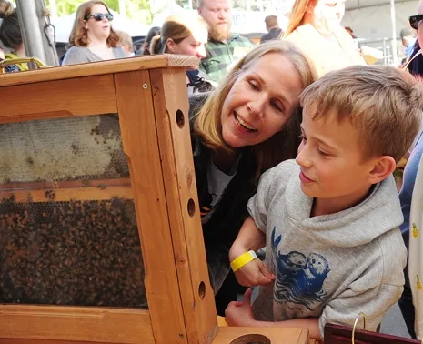 Beekeeper Wendy Mather shows California Agriculture Day visitor Sam Blincoe, 8, a honey bee colony. The California Ag Day is held annually in March, around the first day of spring, on the state capital grounds. (Photo by Kathy Keatley Garvey)