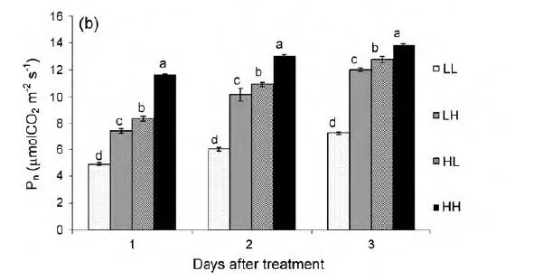 Photo, co2 and air circ on tomao