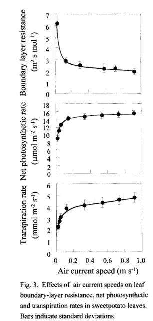 photo, transp, boundary layer Kitaya 2003