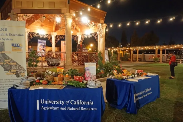 Glenda Humiston addresses the ACE 10 participants at a dinner Oct. 24 in the plaza at Arte Americas museum in Fresno.