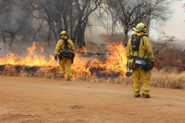 Roads work as a fire block, preventing the spread of fire to other areas of the pasture.