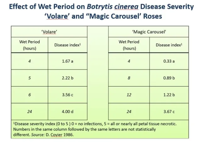 Botrytis and leaf wet