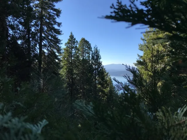Mark B. still had a great view in Almanor this past weekend