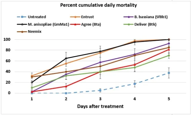 Cumulative daily mortality
