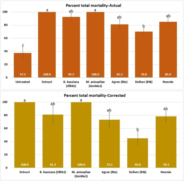 Actual and corrected total mortality