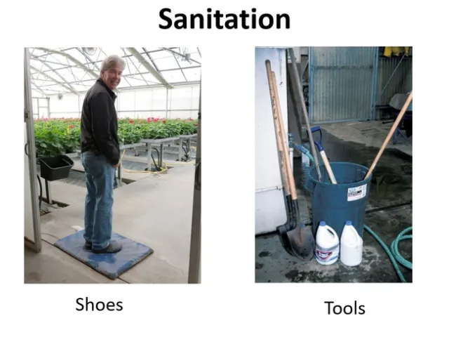 Sanitation