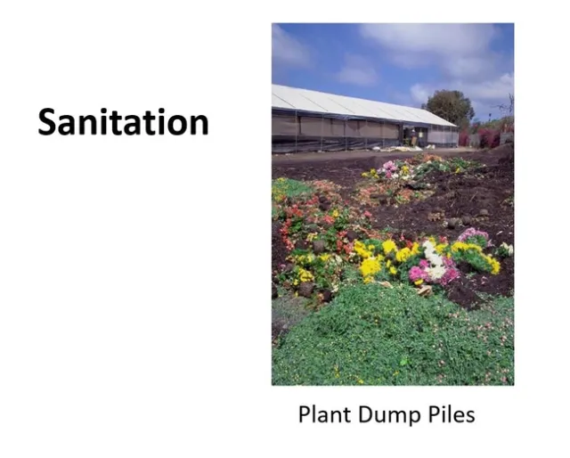 Sanitation 2 plant dump piles