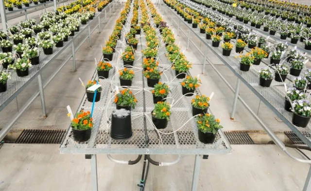 Ideal bench and floor sanitation consisting of metal and concrete flooring, which are easily cleaned and disinfected.