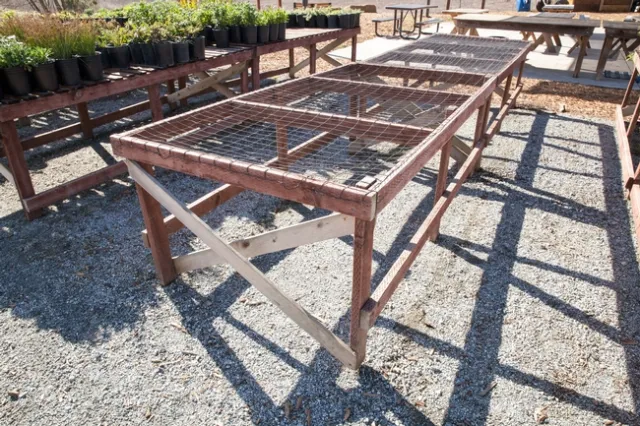 Benches containing wood can be disinfected with copper-containing paints to disinfect the wood and also extend the life of the wood.