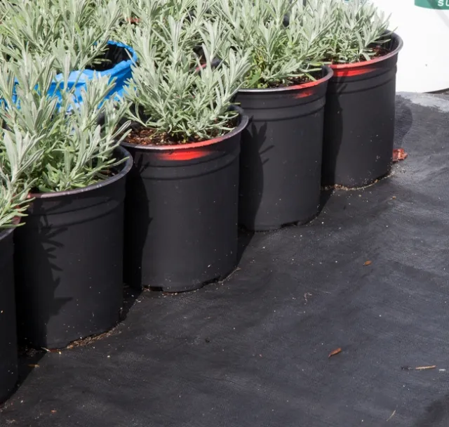 Weed cloth over gravel is a cost-effective way of reducing pot contact with the ground and water runoff