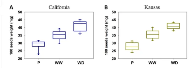 Figure 2. Differences in 100 seeds weight between parental (P) and progenies of two Palmer amaranth populations [California (A) and Kansas (B)] grown under continuous water-deficit (WD) or well-watered (WW) conditions.