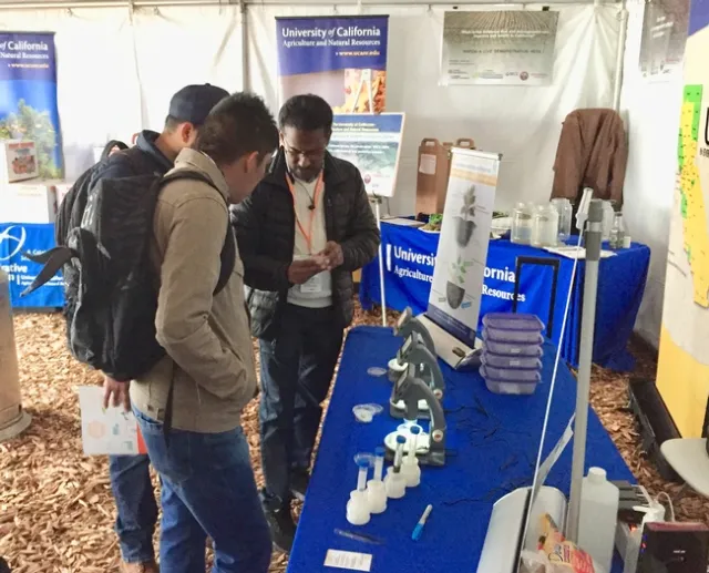 Surendra Dara explains how fungi kill insects.