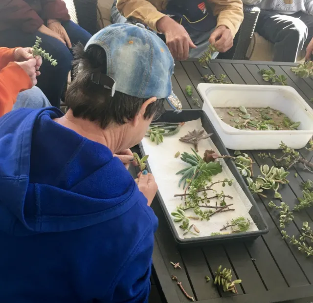 MGs & KAINOS Planting