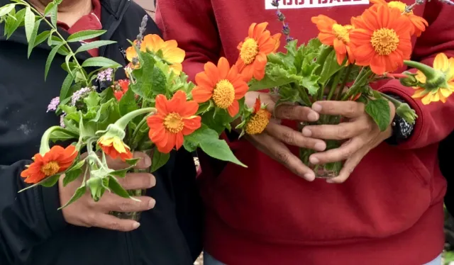 MGs & KAINOS Flowers