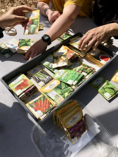 MGs & KAINOS Seed Packets