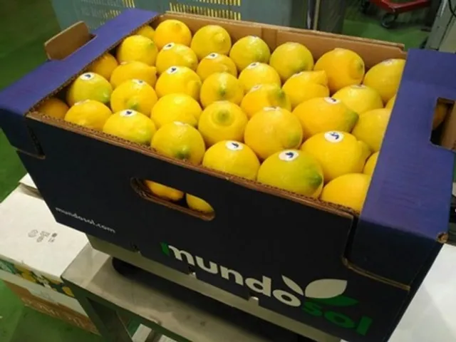 lemon spanish nipples