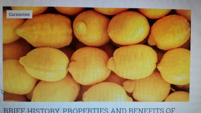 lemon nipple australian