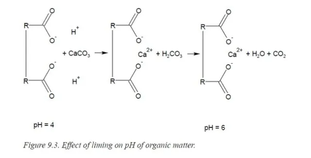 Fig 3. Effect of liming, the addition of calcium carbonate, of organic soil components