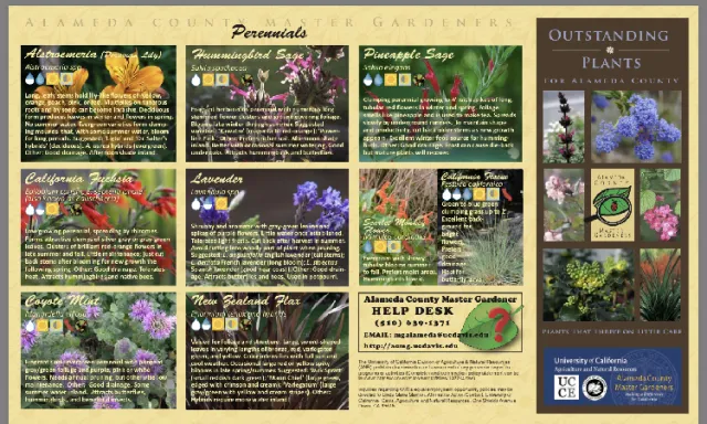 Click to download full brochure