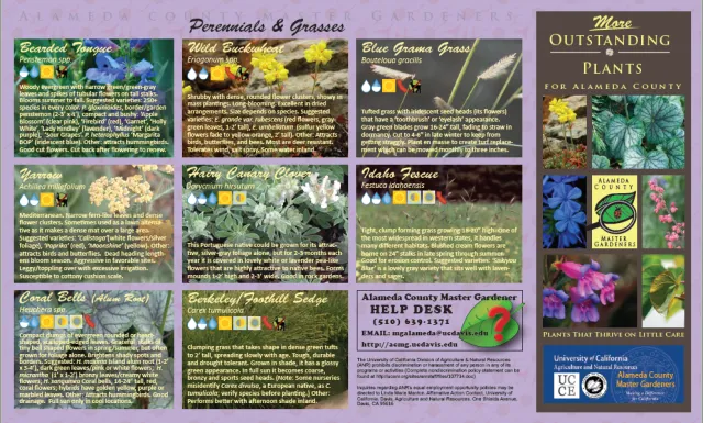 Click to download the full 