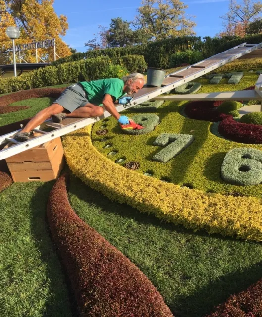 Keeping it neat and tidy. October 2018. Photo by Viv.