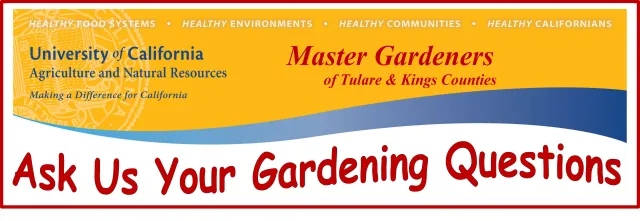 Ask Us Your Questions