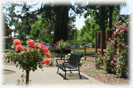 rosegardenani1
