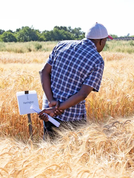 UC Small Grains Field Day