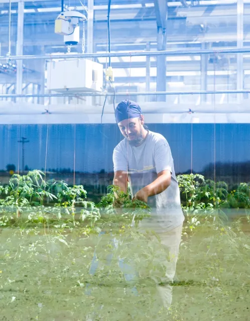 Agricultural technology will make the industry more efficient, productive, profitable and safe.