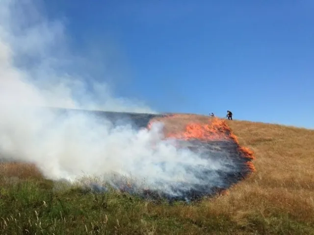 Prescribed fire is an option for containing invasive grasses, but may exacerbate the problem. A burn plan, permits and training are essential.