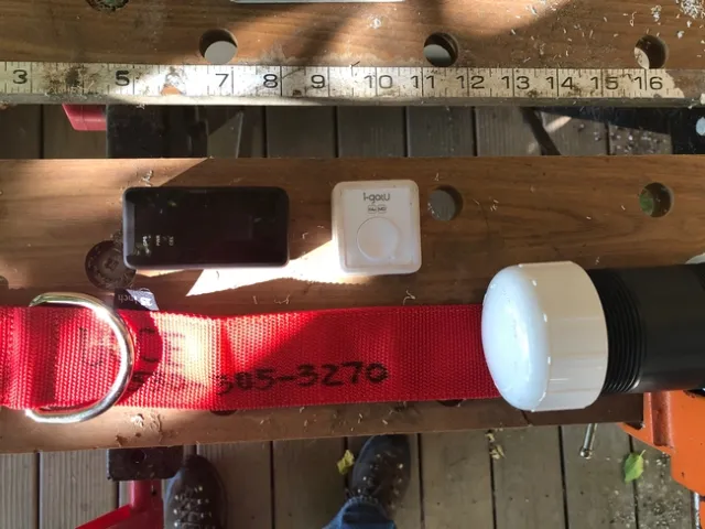 Photo Jul 29, 6 08 03 PM