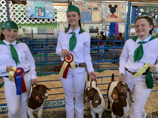 Sophia and Tessa won Reserve Champion and 3rd Place in their Market Goat class with goats purchased from UC Elkus Ranch!