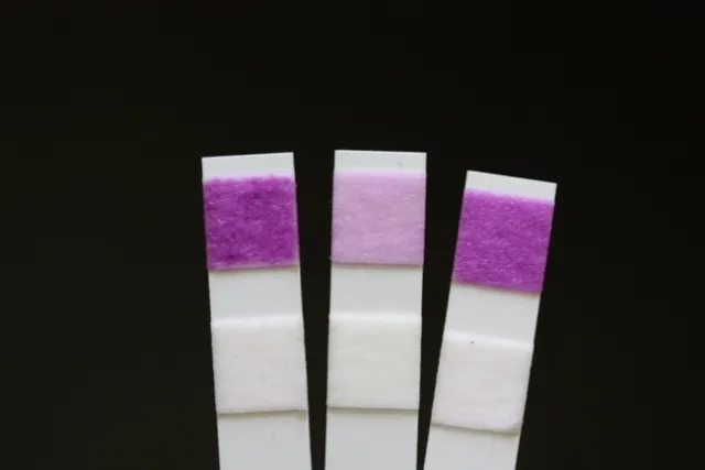 Photo 5. Test strip on the right – top 2 inches of soil (>200 ppm nitrate);Test strip in middle top foot of soil with the top 2 inches of soil scraped away (40 ppm nitrate);and test strip on right top foot of soil with the top 2 inches of soil not scraped away (>200 ppm nitrate).