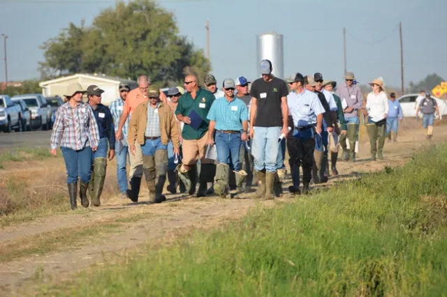 Participants head to the field (2016). Photo by Dana Dickey