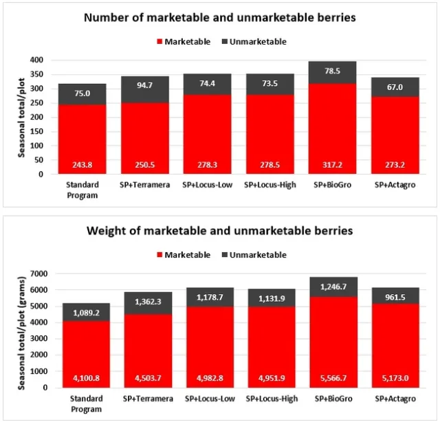Number and weight of strawberries