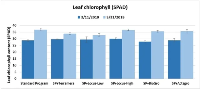 Leaf chlorophyll