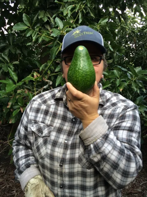 Alana King With A Prized Avocado. Photo Credit Gemina Garland-Lewis