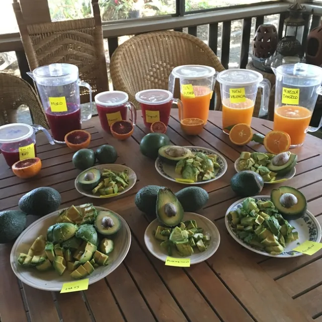 A diversity of flavor from the ranch. Photo credit Alana King.