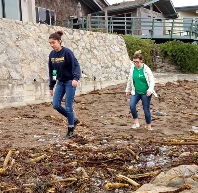 Walking on the shoreline