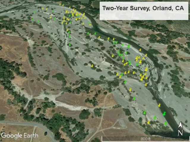 Stony Creek, Orland site