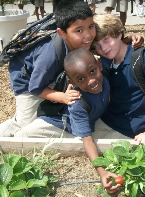 norton space and aeronautic academy school garden