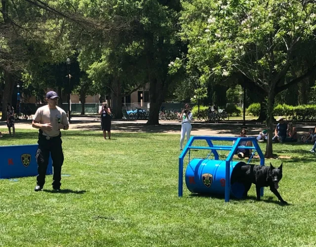 The Woodland Police Department's canine Chase did a demonstration.