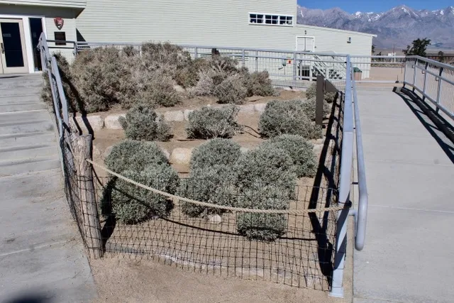 After Guayule patch cleanup.